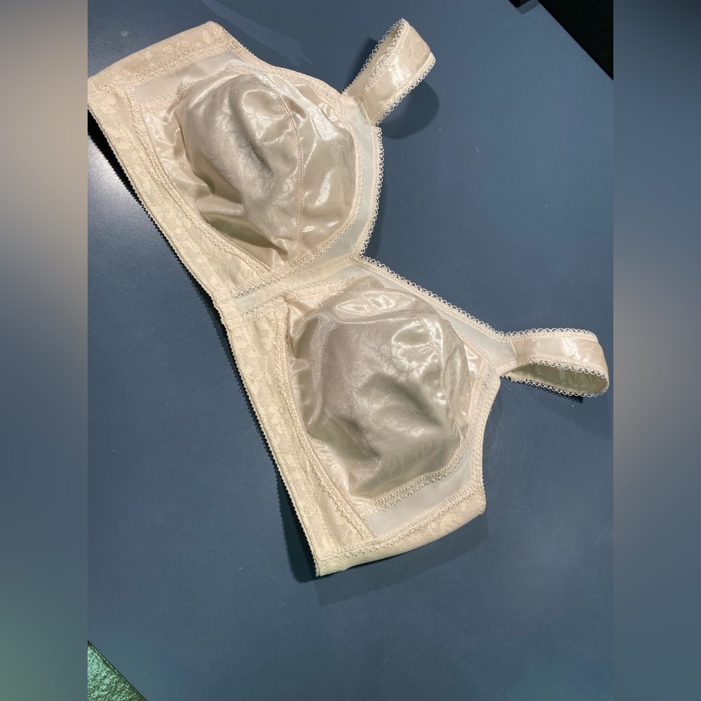 Playtex Bra